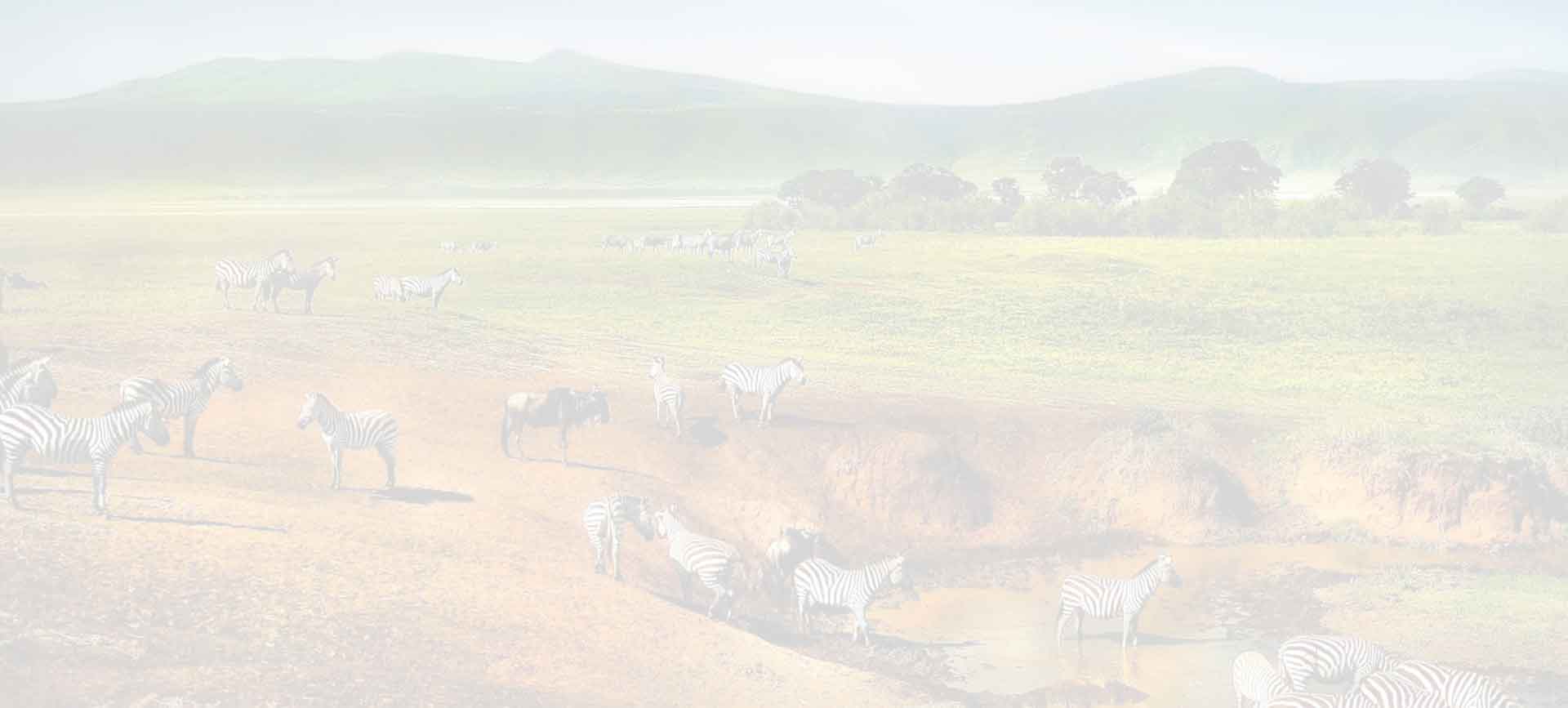 parallax background