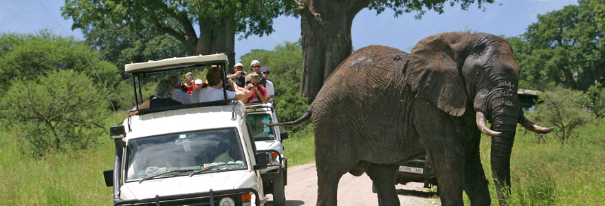 un safari en Tanzanie