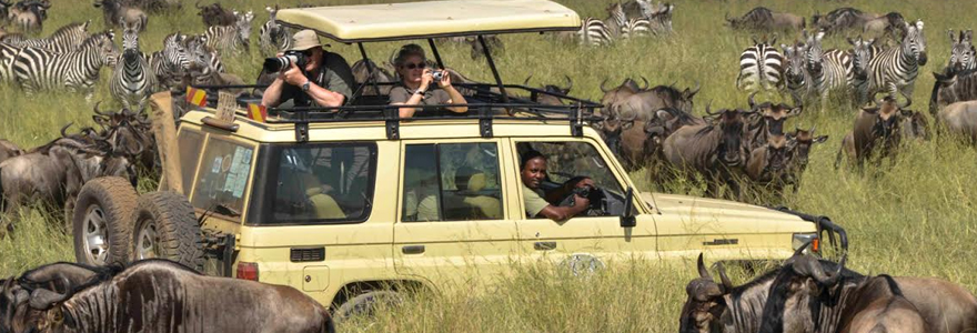safaris en Tanzanie